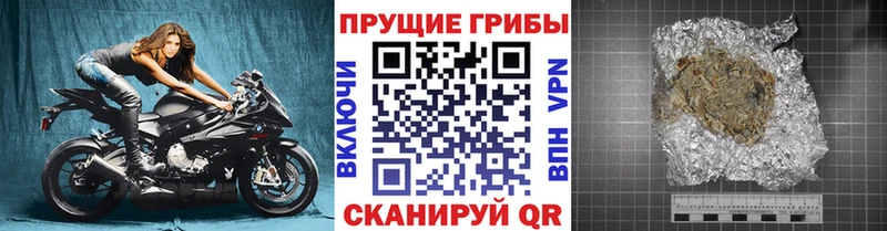 Купить закладки  Астрахань  Галлюциногенные грибы мухоморы 